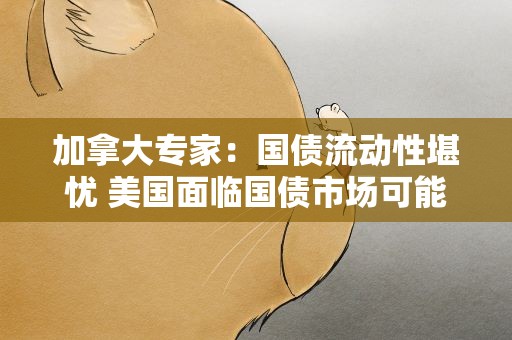 加拿大专家：国债流动性堪忧 美国面临国债市场可能崩溃的威胁