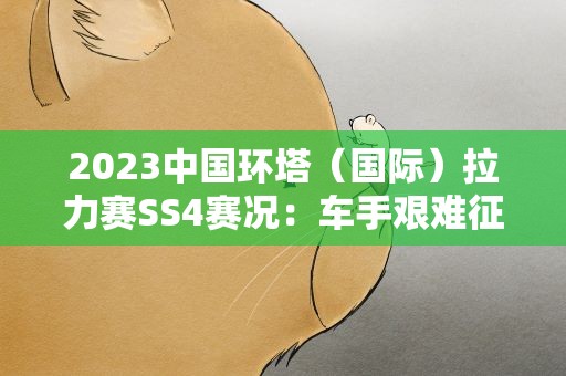 2023中国环塔（国际）拉力赛SS4赛况：车手艰难征战高难度赛道