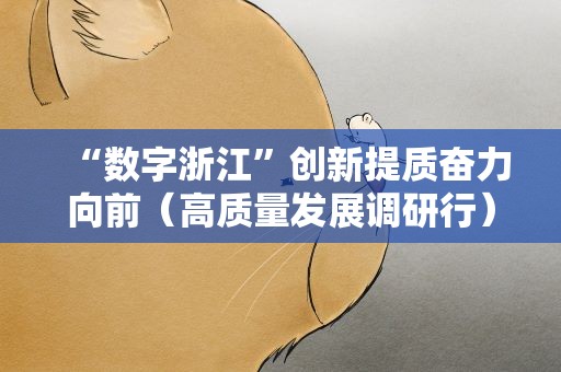 “数字浙江”创新提质奋力向前（高质量发展调研行）