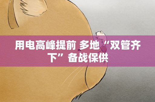 用电高峰提前 多地“双管齐下”备战保供