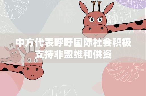 中方代表呼吁国际社会积极支持非盟维和供资