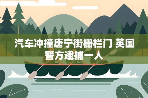 汽车冲撞唐宁街栅栏门 英国警方逮捕一人