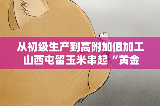 从初级生产到高附加值加工 山西屯留玉米串起“黄金产业链”