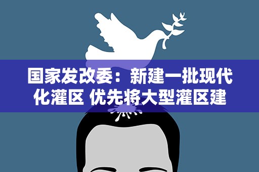国家发改委：新建一批现代化灌区 优先将大型灌区建成高标准农田