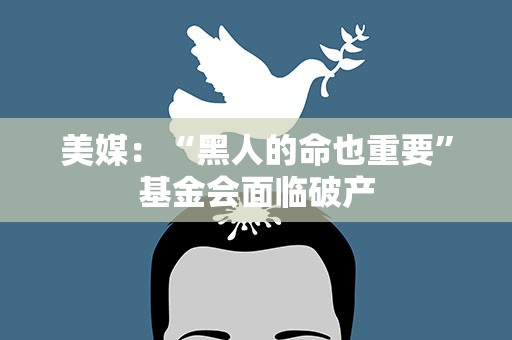 美媒：“黑人的命也重要”基金会面临破产