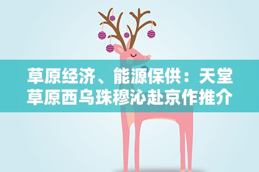 草原经济、能源保供：天堂草原西乌珠穆沁赴京作推介