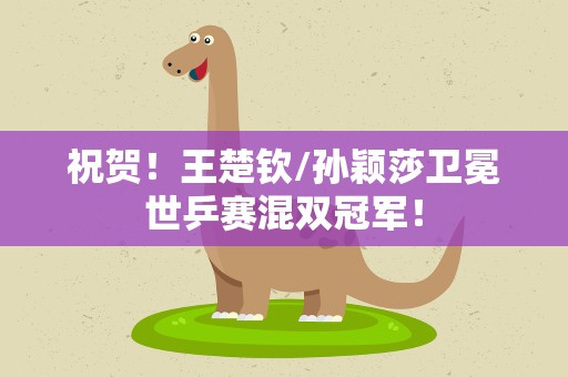 祝贺！王楚钦/孙颖莎卫冕世乒赛混双冠军！