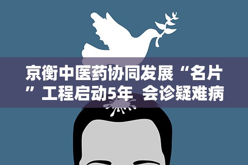 京衡中医药协同发展“名片”工程启动5年 会诊疑难病例1.3万例