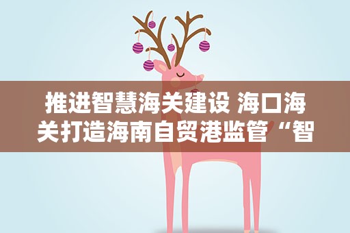 推进智慧海关建设 海口海关打造海南自贸港监管“智脑”