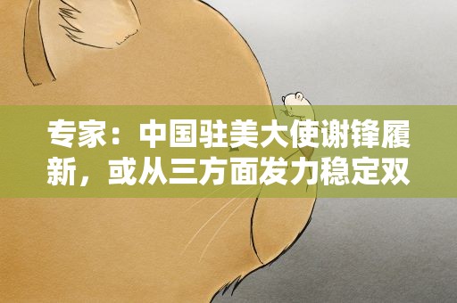 专家：中国驻美大使谢锋履新，或从三方面发力稳定双边关系