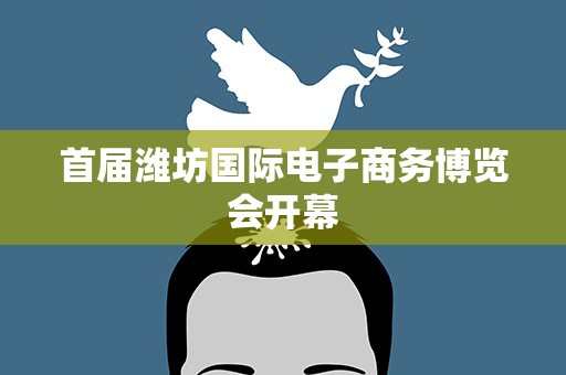 首届潍坊国际电子商务博览会开幕