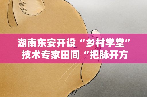 湖南东安开设“乡村学堂” 技术专家田间“把脉开方”