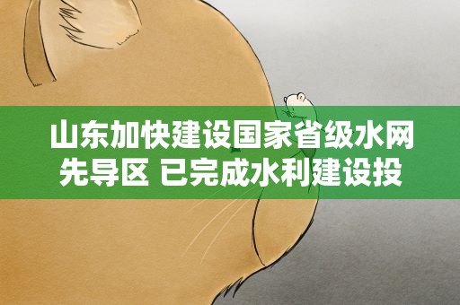 山东加快建设国家省级水网先导区 已完成水利建设投资234亿元