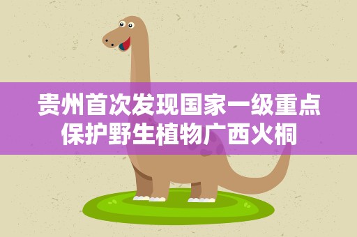 贵州首次发现国家一级重点保护野生植物广西火桐