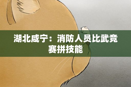 湖北咸宁：消防人员比武竞赛拼技能