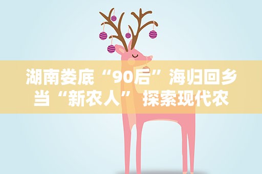 湖南娄底“90后”海归回乡当“新农人” 探索现代农业新模式