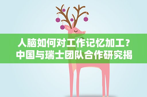 人脑如何对工作记忆加工？中国与瑞士团队合作研究揭秘