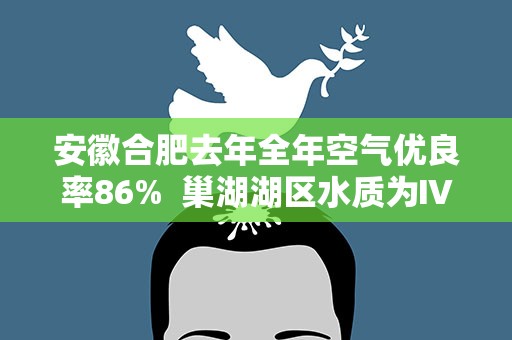 安徽合肥去年全年空气优良率86% 巢湖湖区水质为Ⅳ类