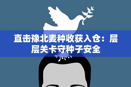 直击豫北麦种收获入仓：层层关卡守种子安全