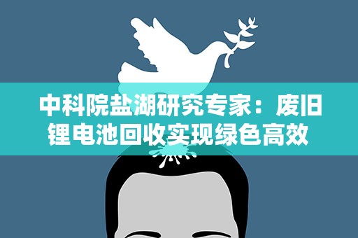 中科院盐湖研究专家：废旧锂电池回收实现绿色高效