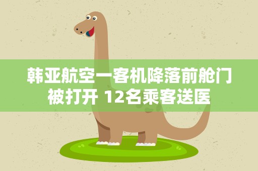 韩亚航空一客机降落前舱门被打开 12名乘客送医