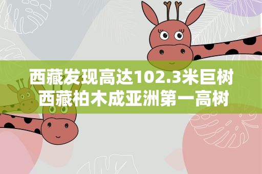 西藏发现高达102.3米巨树西藏柏木成亚洲第一高树种