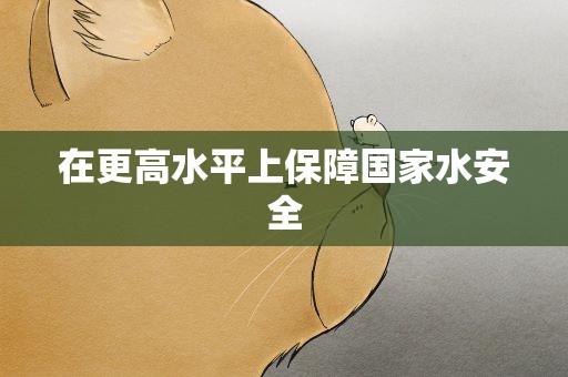 在更高水平上保障国家水安全