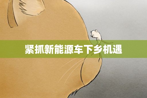 紧抓新能源车下乡机遇