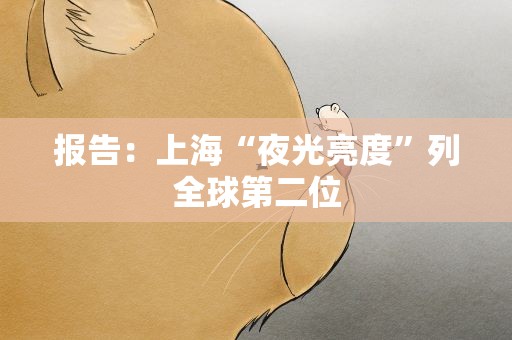 报告：上海“夜光亮度”列全球第二位