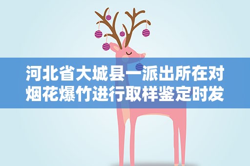 河北省大城县一派出所在对烟花爆竹进行取样鉴定时发生爆炸