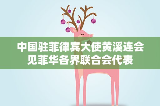 中国驻菲律宾大使黄溪连会见菲华各界联合会代表