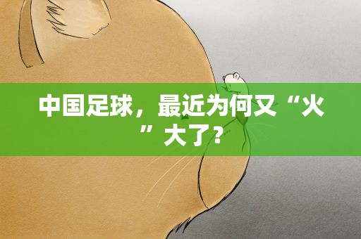 中国足球，最近为何又“火”大了？