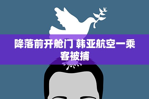 降落前开舱门 韩亚航空一乘客被捕
