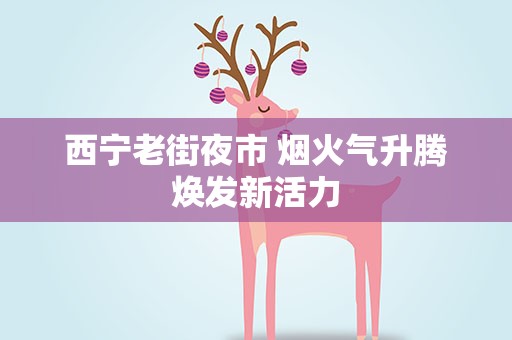 西宁老街夜市 烟火气升腾焕发新活力