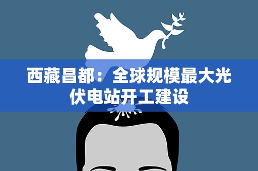 西藏昌都：全球规模最大光伏电站开工建设