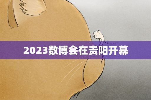 2023数博会在贵阳开幕