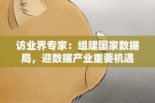 访业界专家：组建国家数据局，迎数据产业重要机遇