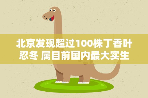 北京发现超过100株丁香叶忍冬 属目前国内最大实生群落