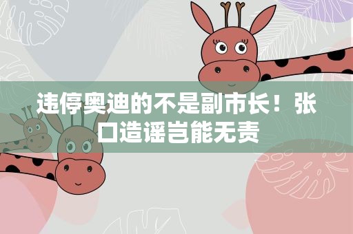 违停奥迪的不是副市长！张口造谣岂能无责