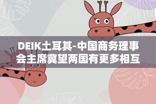 DEIK土耳其-中国商务理事会主席冀望两国有更多相互贸易与投资