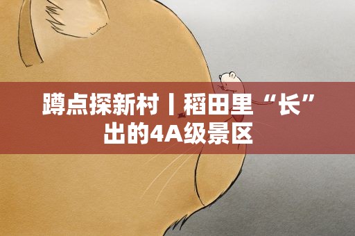 蹲点探新村丨稻田里“长”出的4A级景区