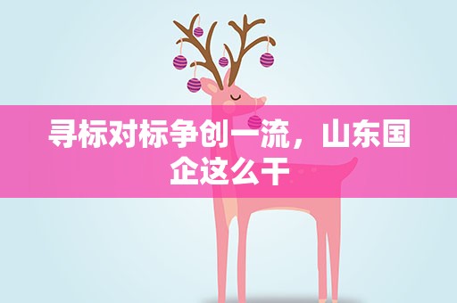 寻标对标争创一流，山东国企这么干