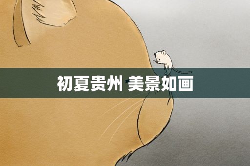 初夏贵州 美景如画
