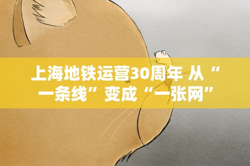 上海地铁运营30周年 从“一条线”变成“一张网”