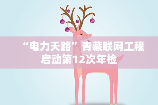 “电力天路”青藏联网工程启动第12次年检
