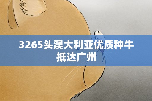 3265头澳大利亚优质种牛抵达广州