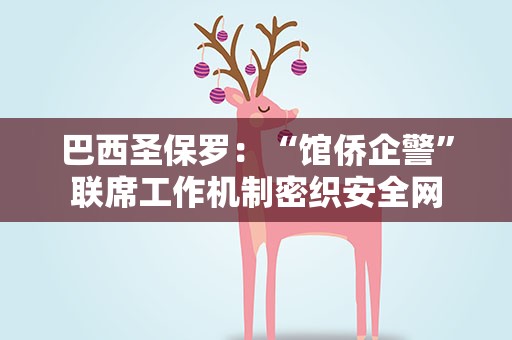 巴西圣保罗：“馆侨企警”联席工作机制密织安全网