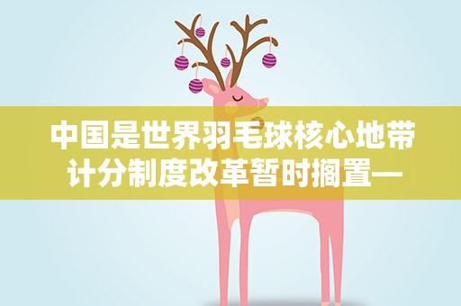 中国是世界羽毛球核心地带 计分制度改革暂时搁置——专访世界羽联主席拉尔森