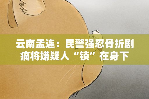云南孟连：民警强忍骨折剧痛将嫌疑人“锁”在身下