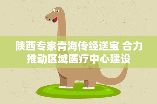 陕西专家青海传经送宝 合力推动区域医疗中心建设